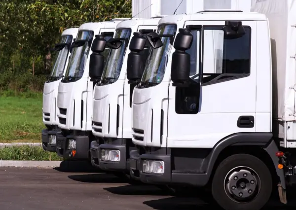 Flota camiones Malibú Garden